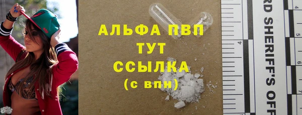 гашик Белоозёрский