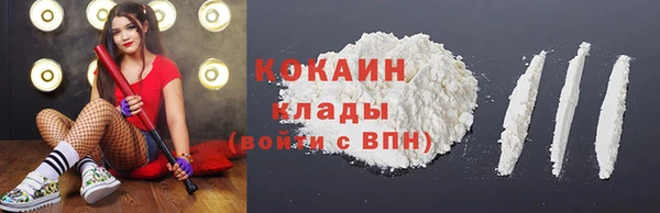 гашик Белоозёрский