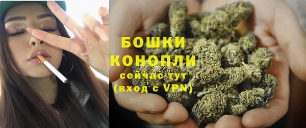 гашик Белоозёрский