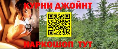 прущие грибы Малгобек