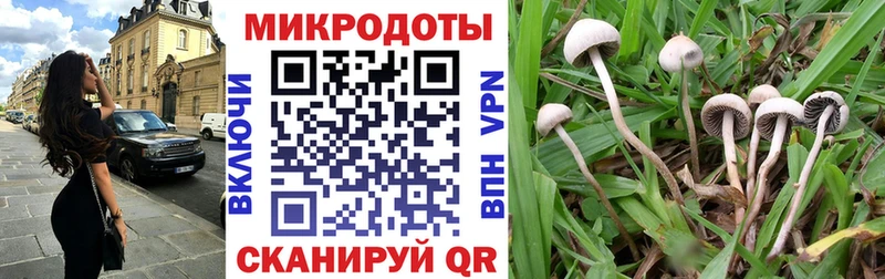 где найти MEGA tor Галлюциногенные грибы Psilocybine cubensis Губкинский