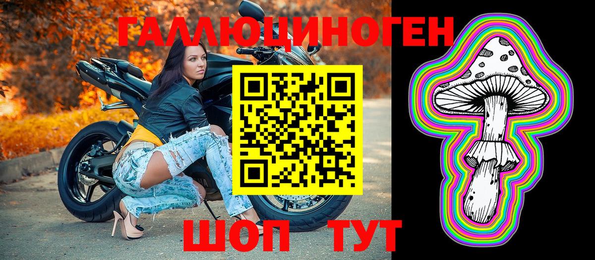 Губкинский  Галлюциногенные грибы Cubensis  Вход с VPN  Галлюциногенные грибы MAGIC MUSHROOMS 