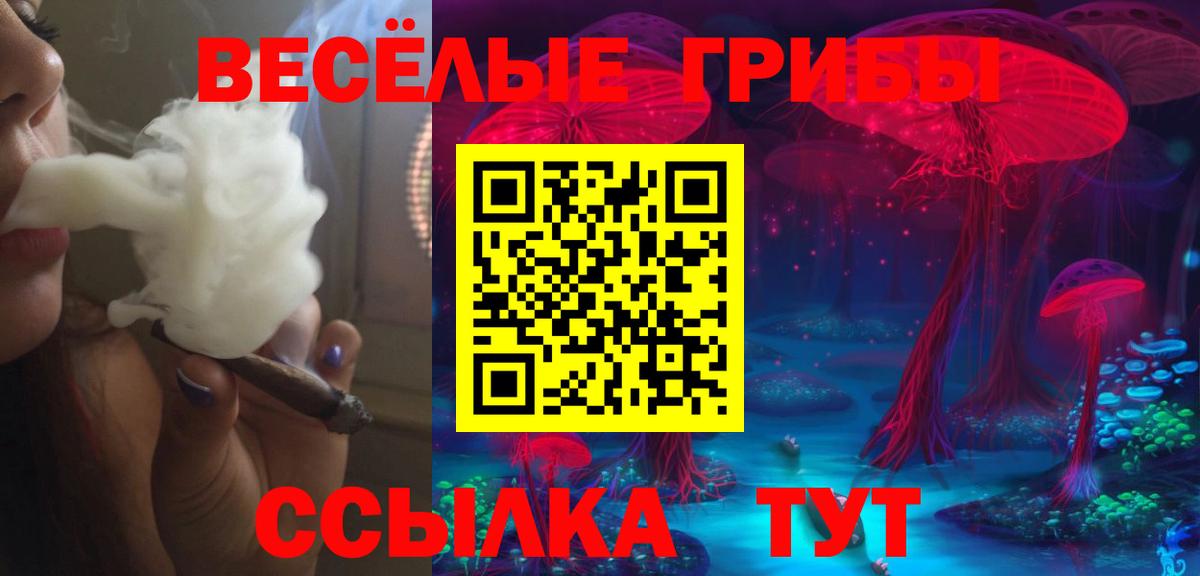 Галлюциногенные грибы мицелий Губкинский