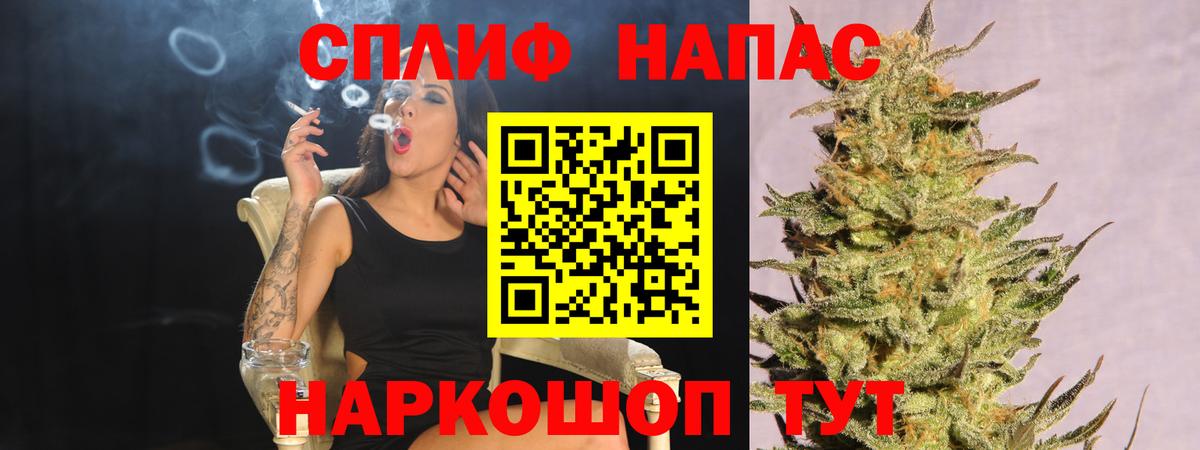 Конопля тримм  Канабис тримм  Губкинский  Канабис план  Вход с VPN 